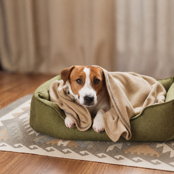 Beds & Furniture
