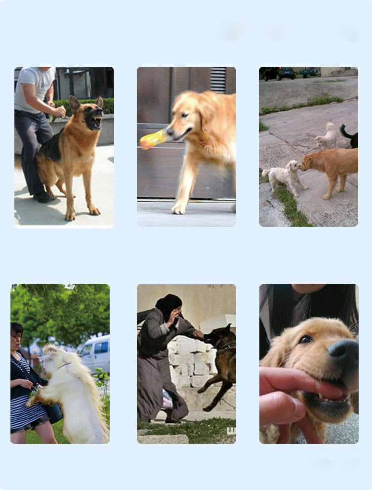 Rechargeable Remote Dog Training Device Bark Stopper Pet Training Collar