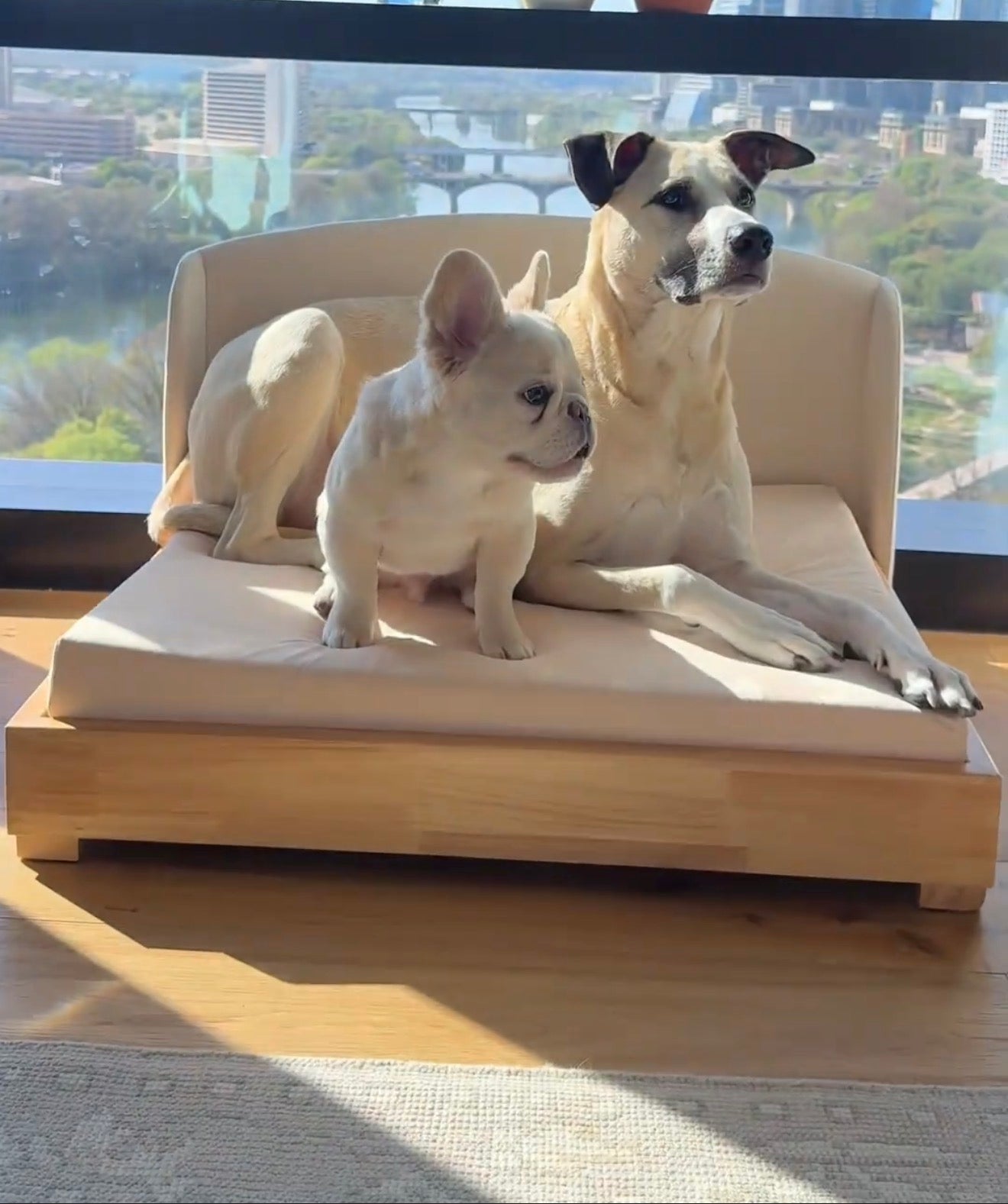 The Haven Luxury Handcrafted Orthopedic Solid Wood Waterproof Dog Bed Premium