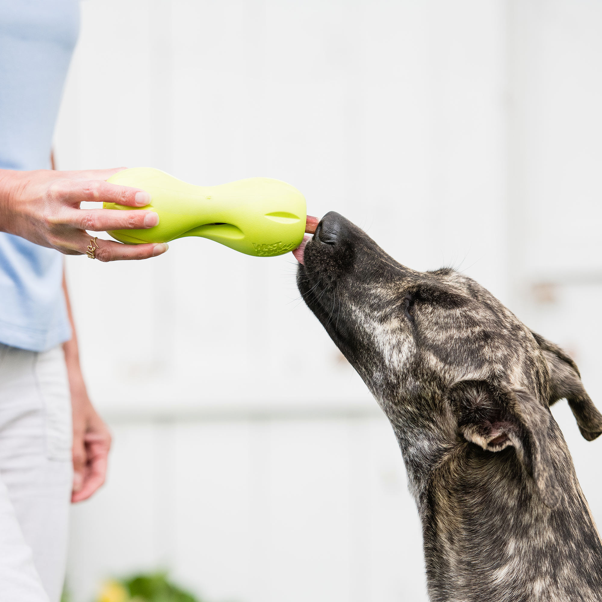 Qwizl Durable Treat Dispensing Dog Toy Interactive Chew Enrichment Puzzle
