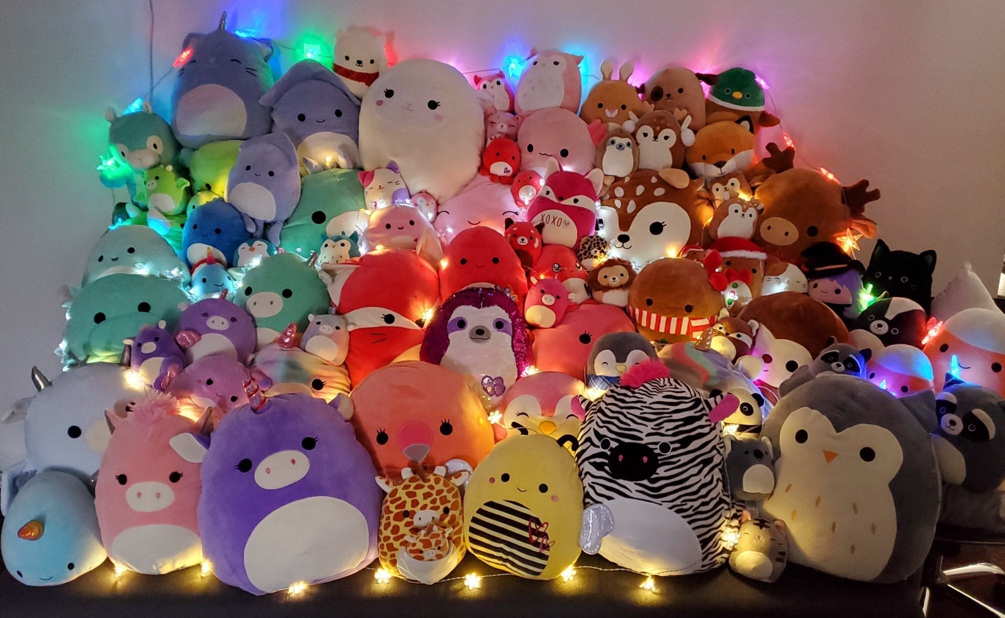 BOGO Large Squishy Cuddlers Super Soft Plush Pet Toys Squeak Choice