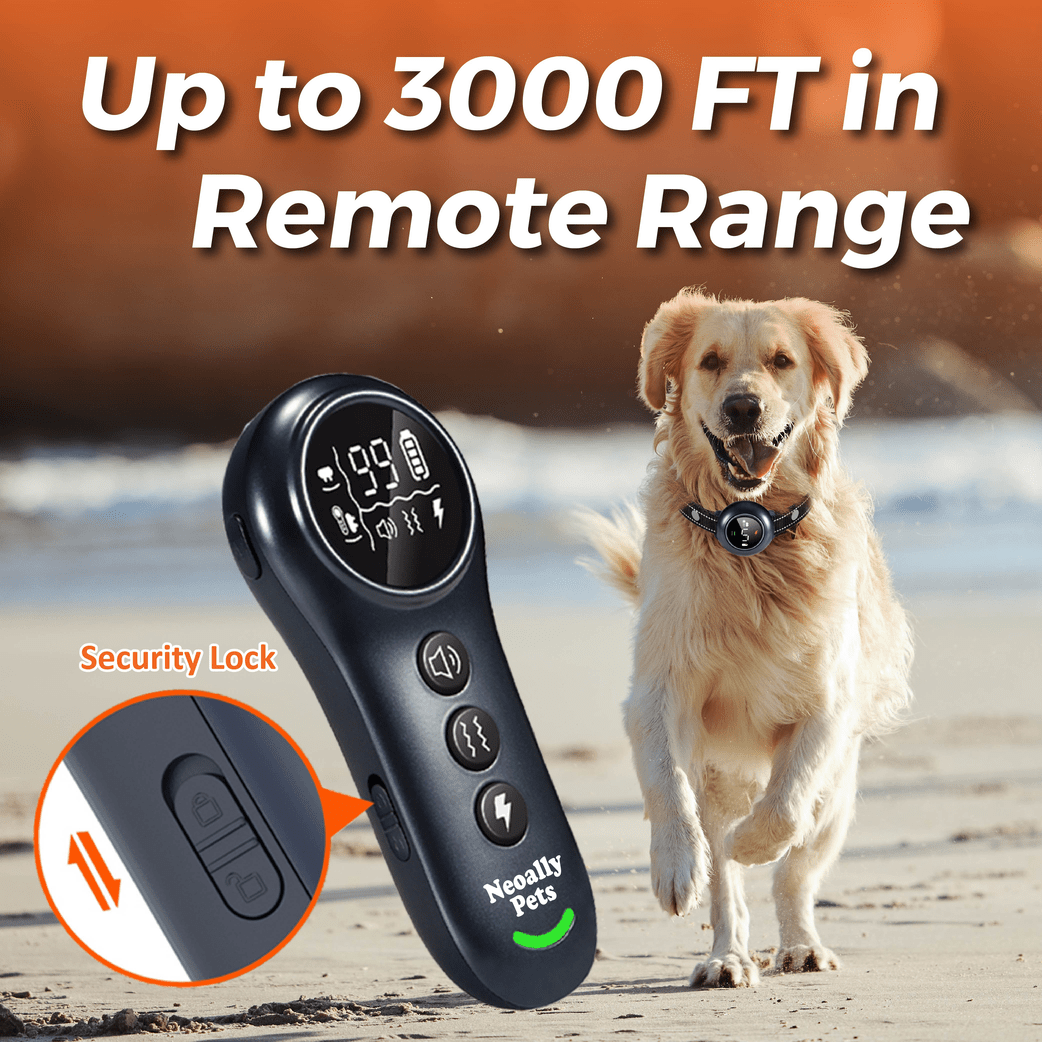 NeoAlly 2-in-1 Dog Training Bark Control Rechargeable Waterproof Collar Device