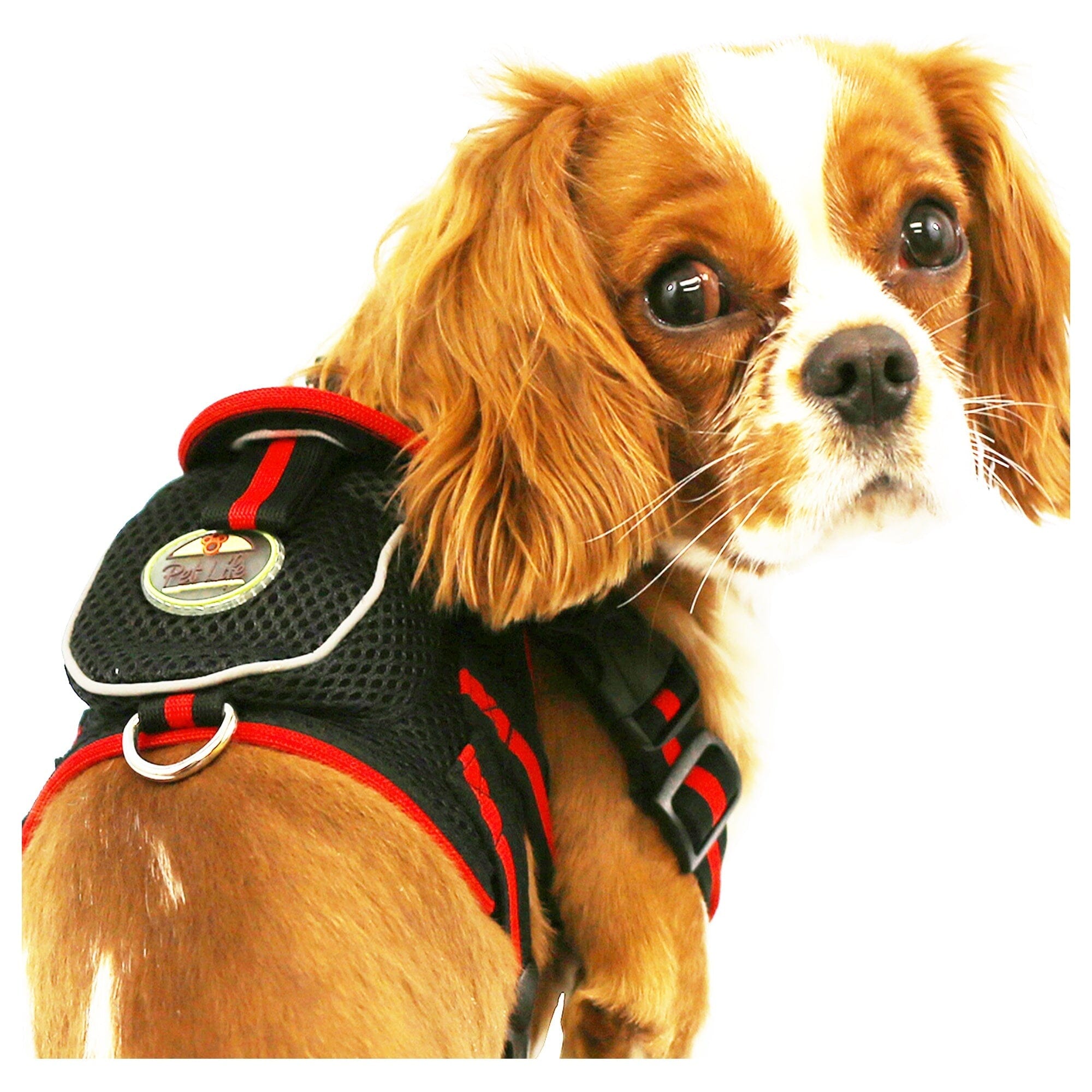 Pet Life Pocket Bark Reflective Adjustable Dog Harness with Storage Pouch