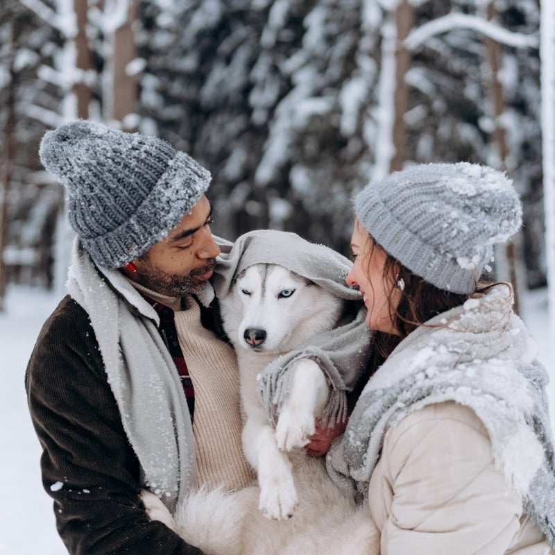 Two people in winter clothing holding a dog wrapped in a blanket with a snowy forest background