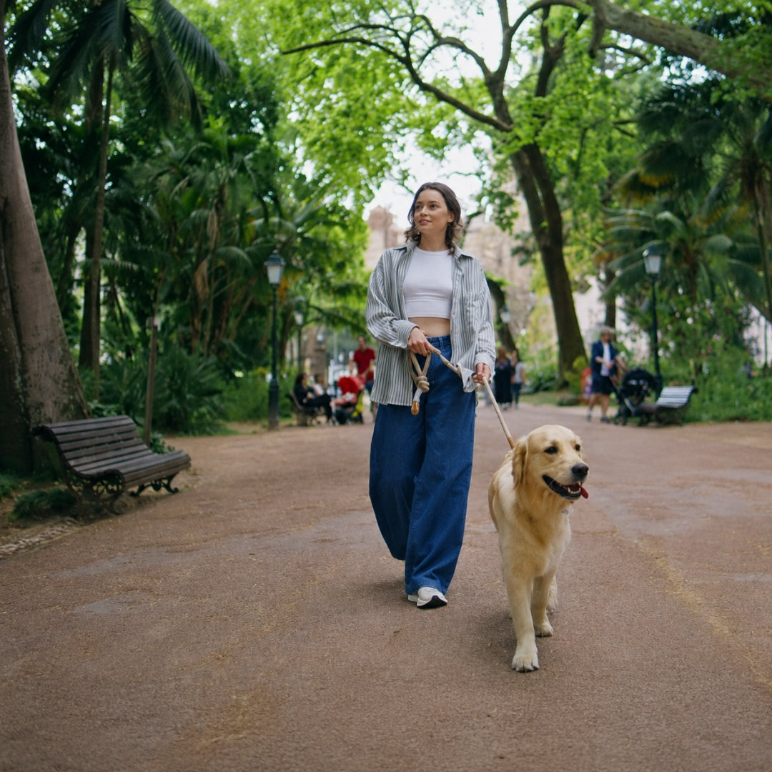 Woman walking a dog in a park with trees and benches in the background
